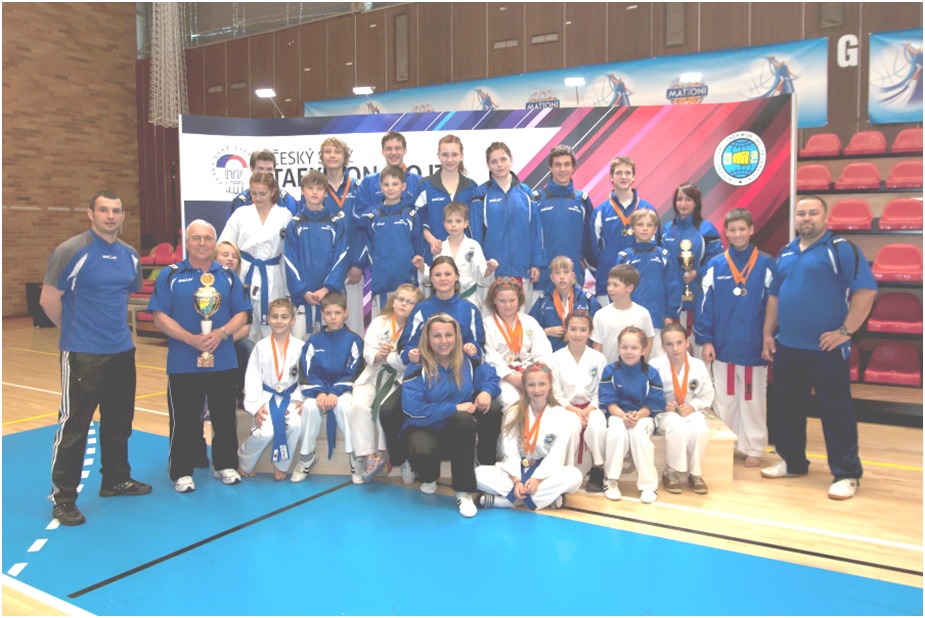 stm sm 2013